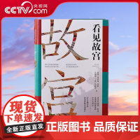 [央视网]看见故宫 倾听文物背后的故事 在故宫发现中国之美 国宝守护人故宫 文物中国古代史中国史 TJ