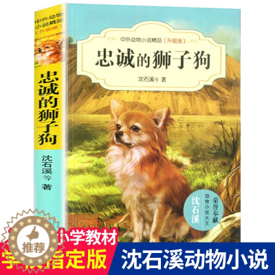 [醉染正版]忠诚的狮子狗 沈石溪中外动物小说精品升级版正版6-7-8-9-12岁儿童文学书籍小学生课外书三四五六年级故事