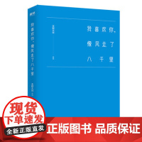 正版书籍 我喜欢你像风走了八千里 末那大叔著 北海爷爷作序 张嘉佳张一白 希望每个人 都能在迷茫中找到爱的方式