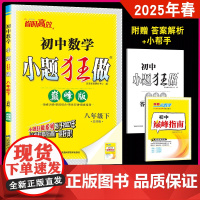 2025春新版春恩波教育 初中数学小题狂做巅峰版 八年级下册 苏科版 初二8年级下学期SK版 苏教版同步复习教辅含答案小