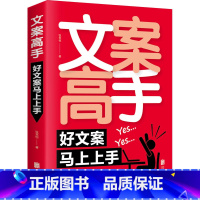 [正版] 文案高手 张笑恒 软文创作 新媒体运营 电商广告文案撰写指导 内容创作运营 文案大手笔 书店