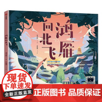 精装正版图书 鸿雁向北飞 正版黄小衡著 汪骏瑶绘 百班千人祖庆说大阅小森 小学生一年级课外书阅读书籍非注音版