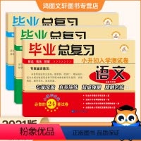 语数英试卷 小学升初中 [正版]单本小升初试卷语文数学英语配套人教版 北师大版 苏教版 通用版小学六年级升初中分班考试试