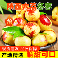 [熊猫鸟]陕西大荔冬枣 净重5斤 大果 单果20g以上 箱装 红枣子精选 当季新鲜水果