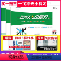 小复习 三年级下册[语数英]套装 小学通用 [正版]2024版一飞冲天小复习一年级1二年级2三3四4五5六6年级上册下册