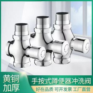 沃奈斯 Oh nice 冲洗阀 手按式延时冲洗阀 全铜款[进水口1寸]小体 个