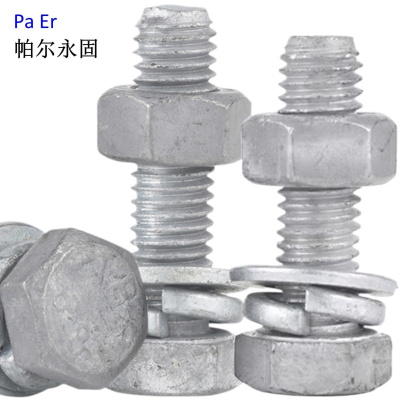 帕尔永固镀锌穿钉(带垫片带母)M16×125 套