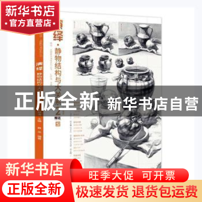 正版 演绎-静物结构与大关系(2) 蔡龙编著 辽宁美术出版社 978753