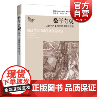 数学奇观 让数学之美带给你灵感与启发 [美]阿尔弗雷德 数学读物 趣味数学 数学欣赏 让你爱上数学这个难题 上海科技教育