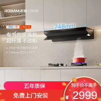 老板(Robam)[小尺寸]油烟机26立方风量1100Pa抽油烟机顶侧一体超薄平嵌大吸力61A9S L1mini