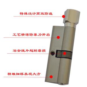 BONJEAN梅花钮单头锁芯室内执手锁芯室内天地通用单边房锁芯锁头 不锈钢色70小号 35-50mm通用型带钥匙