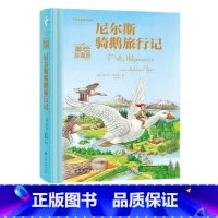 [正版]刘媛媛力荐 尼尔斯骑鹅旅行记美绘珍藏版 学校童话绘本青少版课外阅读书籍读物世界经典名著 小学生课外书必读7-