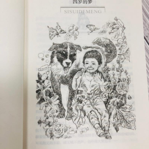 [M]一百个中国孩子的梦-9787556043842