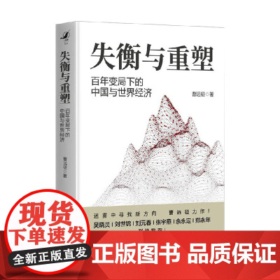 失衡与重塑 百年变局下的中国与世界经济 曹远征 著 经济