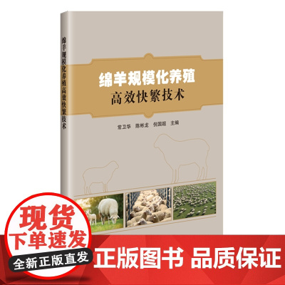 绵羊规模化养殖高效快繁技术 常卫华 陈彬龙 倪国超 编 9787511668165 中国农业科学技术出版社