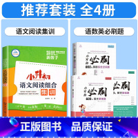 [升学必练!全套4册]语文阅读+小升初语数英必刷题 小学升初中 [正版]小升初语文阅读组合集训 人教版六年级下册阅读理解