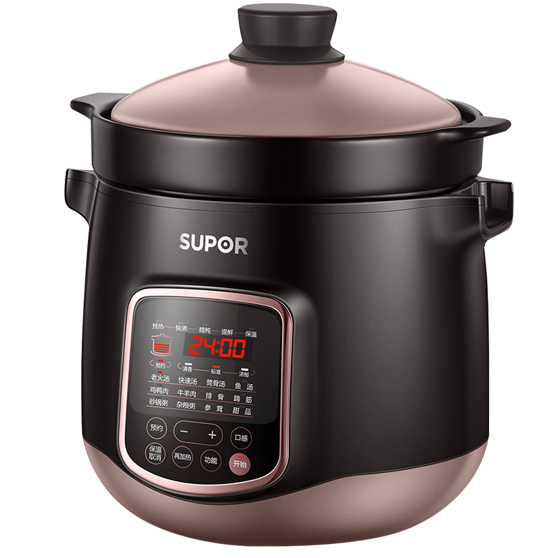 苏泊尔(SUPOR)电炖锅电炖盅煲汤锅炖汤锅煮粥锅十二大特色功能炽陶老火汤电炖锅DG60YC13