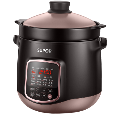 苏泊尔(SUPOR)电炖锅电炖盅煲汤锅炖汤锅煮粥锅十二大特色功能炽陶老火汤电炖锅DG60YC13
