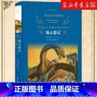 单本全册 [正版]书店地心游记(精)/经典译林法国儒勒凡尔纳外国文学儿童读物/童书儿童文学学习坚韧不拔的刚强意志获得丰富