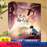 爸爸的雨花石 [正版]爸爸的雨花石 少年智中国原创书籍 一个孩子1973年的南京记忆 三四五六年级小学生课外阅读经典