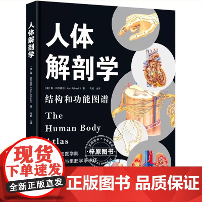 正版 人体解剖学 结构和功能图谱 马超主译 借助分解图深入展示人体器官的工作动态 江苏科学技术出版社