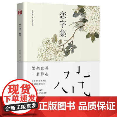 恋字集 韩梅梅 北京联合出版公司 正版书籍
