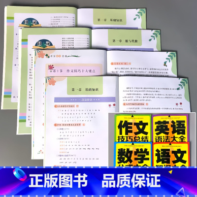 全4册-小学生专项训练1-6年级通用 全套 小学通用 [正版]小学语文知识大全数学公式英语语法作文写作技巧小学生专项训练