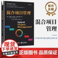 店 混合项目管理 混合项目管理规划与架构讲解书籍 测量预测型可交付介绍书 辛西娅 斯奈德 迪奥尼西奥 电子工业出版社