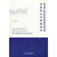 正版新书]黑龙江省扶持新就业形态发展的公共政策研究孔微巍9787