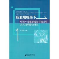 正版新书]新发展格局下中国产业集群质量升级困境及其突破路径研