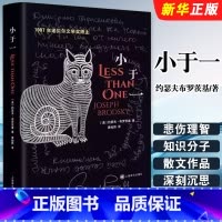 小于一 [正版]小于一 约瑟夫布罗茨基著 黄灿然译 上海译文出版社 经典译本全新修订 悲伤与理智 水印作者 散文集 美国