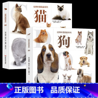 猫+狗 [正版]经典科普图鉴系列恐龙鲨鱼枪械飞机猫狗上百幅恐龙的还原图和场景图全景生动近百张珍贵的化石照片和专家考察照片