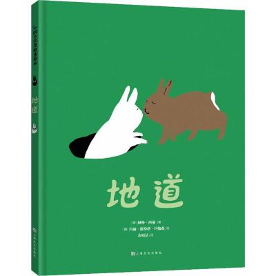 正版新书]挪威国家设计奖金奖绘本:地道(阿卡狄亚童书馆)(中
