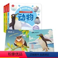 [正版]图解生命周期翻翻书系列 全3册 0-1-2-3-4-5-6周岁幼儿园宝宝启蒙益智趣味科普图画书 儿童低幼启蒙撕