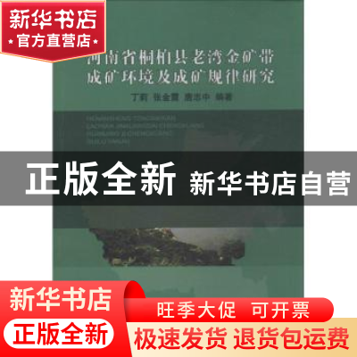 正版 河南省桐栢县老湾金矿带成矿环境及成矿规律研究 丁莉 地质