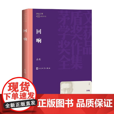 回响 东西 著 小说