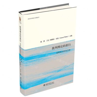 [N]批判理论的旅行(在审美与社会之间)/文化诗学理论与实践丛书-9787301330326