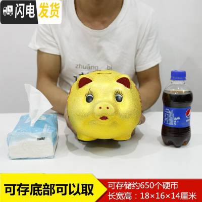 三维工匠存钱罐不可取儿童大人用家用储蓄罐储钱罐女生可爱大容量只进不出 [可存可取]8寸(长约18厘米)