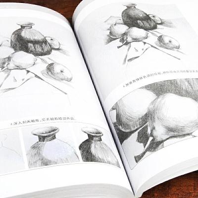 正版新书]素描基础入门--静物七彩绘工作室 绘9787531483298