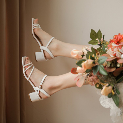 格瑞迪欧南国梦中人＆7168