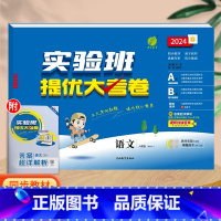 语文(人教版)。 五年级下 [正版]实验班提优大考卷一年级二年级三四五六年级上册语文数学英语人教版北师大苏教下册期中期末