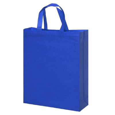 瑞季勤 无纺布袋 300*380*100mm 个