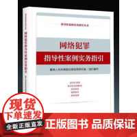 网络犯罪指导性案例实务指引 最高人民检察院法律政策研究室 组织编写 中国检察出版社 9787510221040 网络犯罪