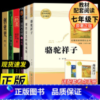 七年级下册 全6册[必读+选读] [正版]朝花夕拾和加西游记上下全册人民教育出版社三册人教版七年级上必读书带批注温儒敏主