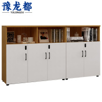 豫龙都文件柜五门台