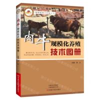 [N]肉牛规模化养殖技术图册/畜禽规模化养殖丛书-9787572504082