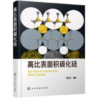 音像高比表面积碳化硅郭向云编著