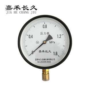 嘉禾长久 压力表检测型 Y150 块