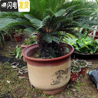 三维工匠花盆紫砂陶瓷花盆 兰花盆特大号红陶大码陶瓷盆 22+25(2个盆) 大花盆容器