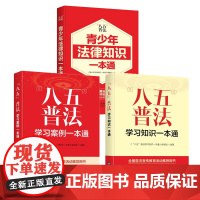 八五普法系列书 青少年法律知识一本通+八五普法学习知识一本通+八五普法学习案例一本通3册 教你学法、懂法、执法、用法